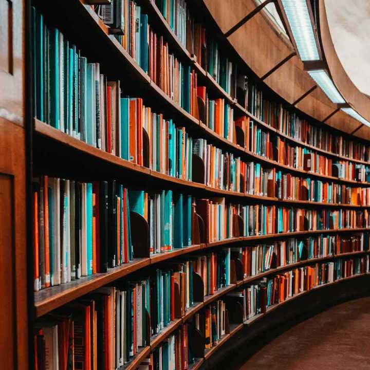 afro caribbean ocean sunset